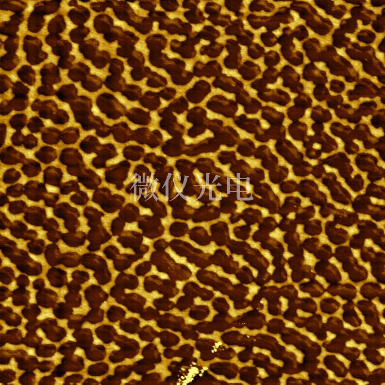 AFM原子力显微镜特殊模式应用简介